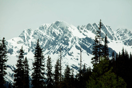 加拿大落基山脉风景如画的山景