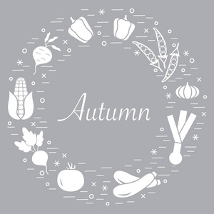 可爱的矢量图的不同秋季时令蔬菜