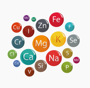 矿物的作用各式坚果拼贴画维生素和矿物质鱼镁对健康的好处.
