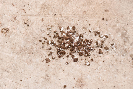 鸟屎在地板上的纹理摄影图