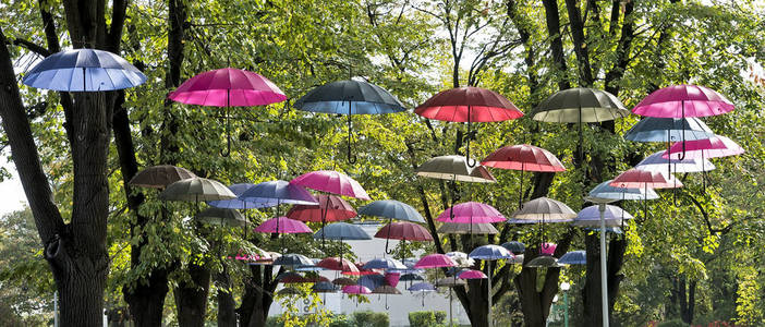 在行人区挂在树上的雨伞