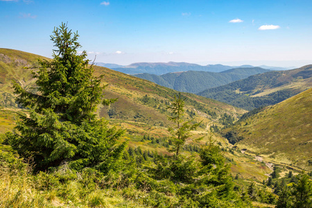 美丽的小山景观图片