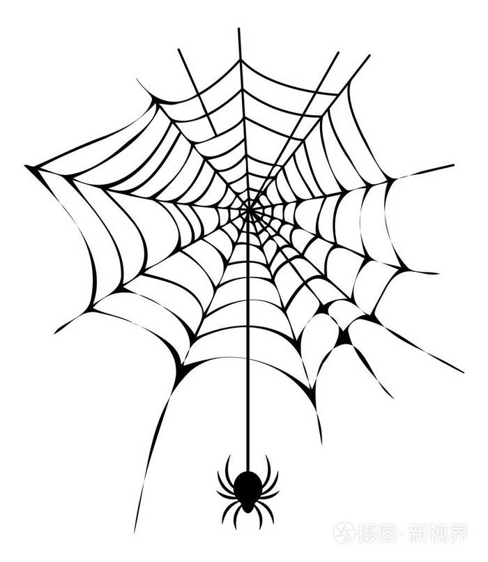 黑薄蜘蛛网与蜘蛛孤立插图插画-正版商用图片10crtn-摄图新视界