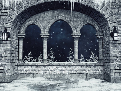 哥特式城堡窗户,灯笼,冬季灌木和冰柱照片