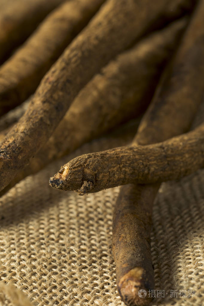 生棕有机牛蒡根