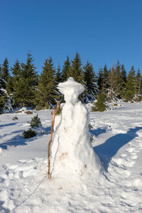 冬天森林里用木棍堆雪人