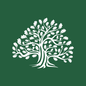 巨大而神圣的橡树轮廓标志徽章隔离在棕色背景上。 现代矢量民族传统绿植图标设计。 优质有机标志型平面标志插图。