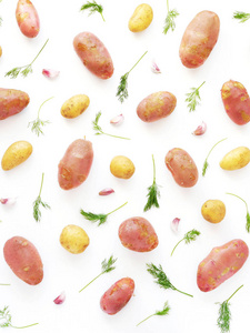 白色背景上的年轻土豆。 蔬菜的图案。 俯视平躺。 马铃薯的组成模式
