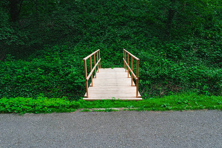 热带雨林中的木桥。走道