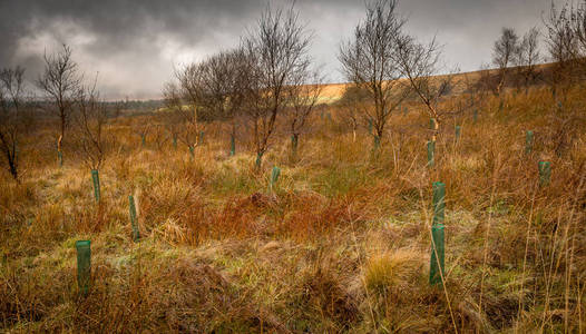 英格兰北部图片