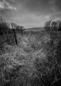 老式国家集农村设计元素手工绘制黑白矢量插图平台的火车站在加里宁