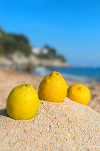 在海滩的柠檬