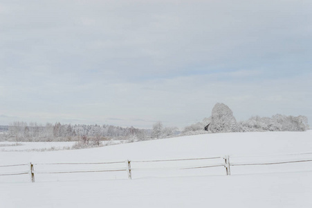 冬季田园风光与白雪和白色田野图片