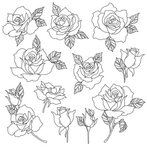 树叶做的一幅画玫瑰花插图我做了一朵美丽的玫瑰,一幅画,我用矢量画