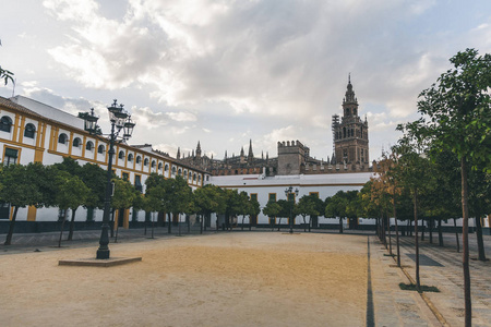 风景优美的城市广场与树木和塞维利亚大教堂西班牙