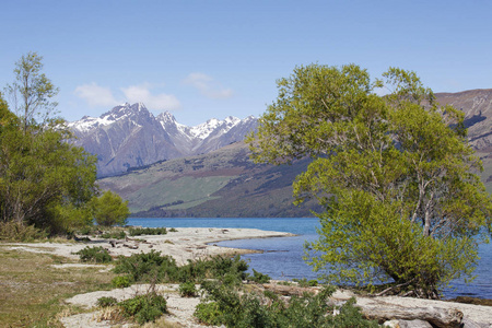 美丽的冰川水域瓦卡蒂普湖在格林诺奇在新西兰南岛，雪在可评论的。