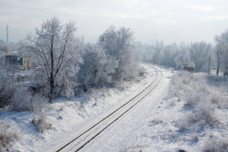 沿雪树的铁路景观