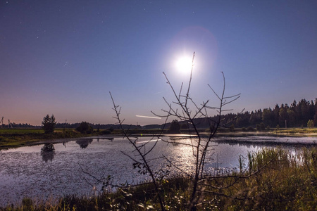 夜景在满月和小湖附近森林