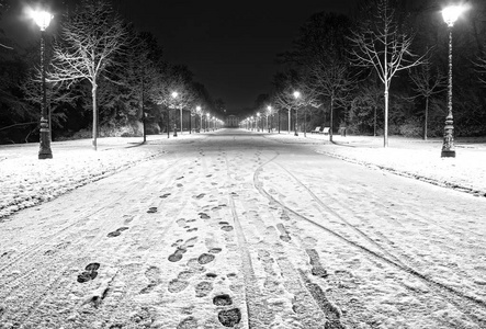 晚上在公园里下雪后。白色道路, 长凳, 街道 la