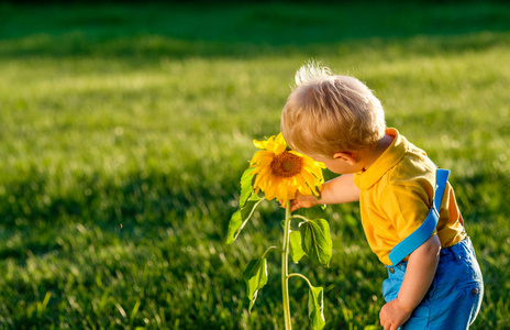 幼儿户外肖像。 农村的场景，小男孩看向日葵