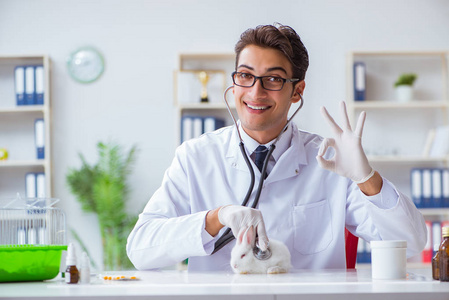 宠物医院的名字图片