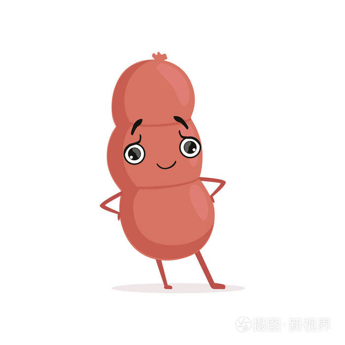 微笑的香肠字符站立与胳膊叉腰隔绝在白色.肉类食品产品.