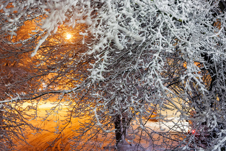 路灯下雪后，雪覆盖了树木。 冬季景观