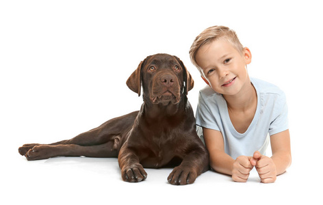白色狗与男孩逗人喜爱的小男孩与狗在白色背景照片