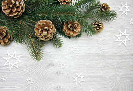 圣诞节和新的年组成。木白色背景的松树球果, 云杉树枝