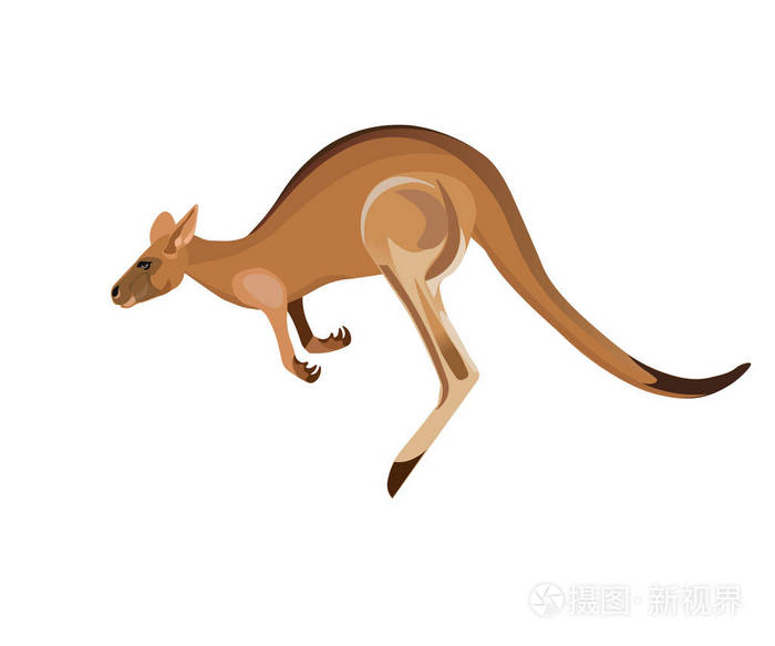 跳跃的袋鼠矢量