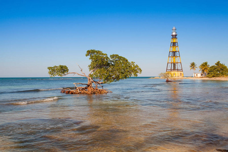 在 Jutias 岛海滩上，古巴的灯塔