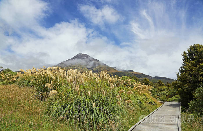 新西兰塔拉纳基埃格蒙特山国家公园小径