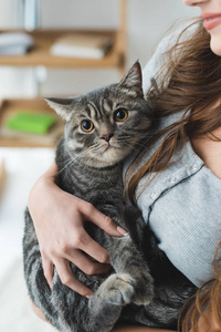 年轻女子手里拿着可爱的猫