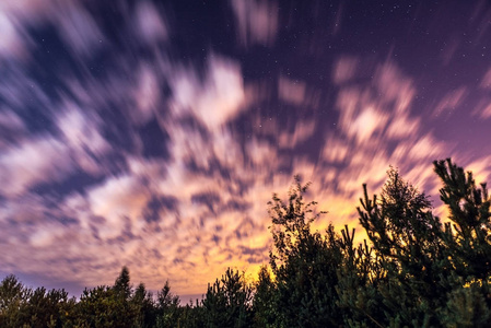 森林上空繁星满天的夜空