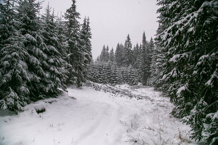 村庄的全景在冬天的山上覆盖着雪。 冬季景观。 自由和孤独的概念。