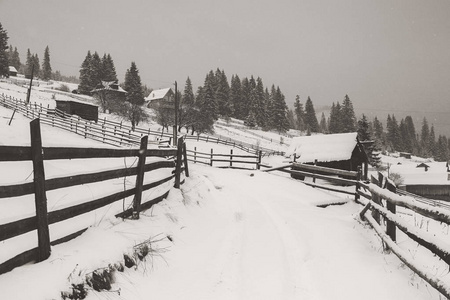 村庄的全景在冬天的山上覆盖着雪。 冬季景观。 自由和孤独的概念。