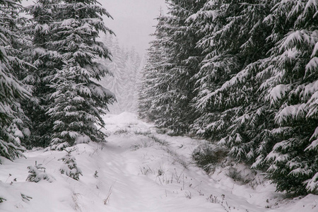 村庄的全景在冬天的山上覆盖着雪。 冬季景观。 自由和孤独的概念。