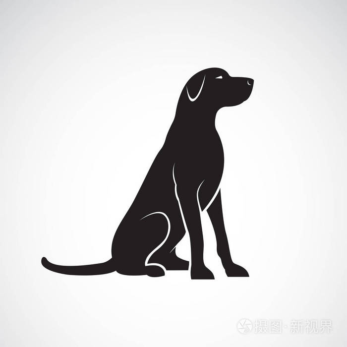 拉布拉多猎犬的矢量分离
