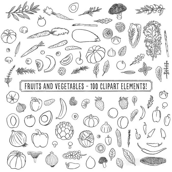 水果和蔬菜一套100个手绘剪贴画水果和蔬菜