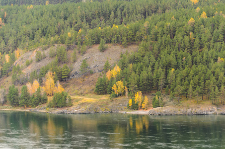 金色森林和河流的秋景图片