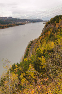 金色森林和河流的秋景图片