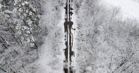 雪覆盖乡间小路的景观