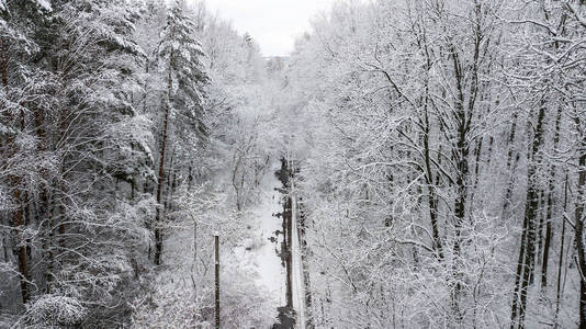 雪覆盖乡间小路的景观