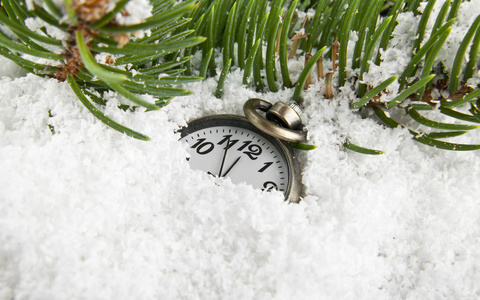 一棵圣诞树的树枝和雪中的钟