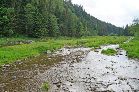 这条山河很快就在长满茂密森林的喀尔巴阡山的山坡上流动。