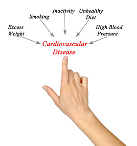 导致心血管疾病