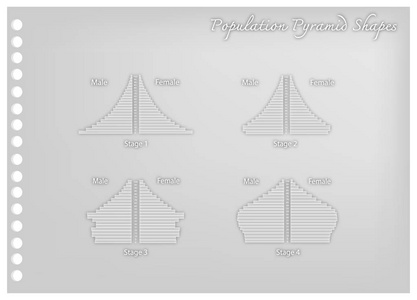 四阶段人口金字塔的纸艺术