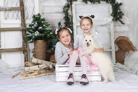 在圣诞照相馆养一只白狗的女孩
