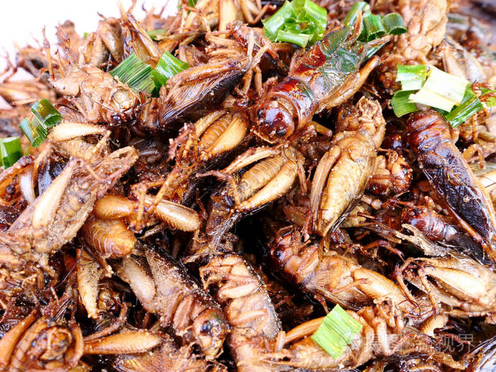 油炸嵌入和臭虫