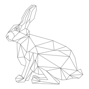 野兔几何样式